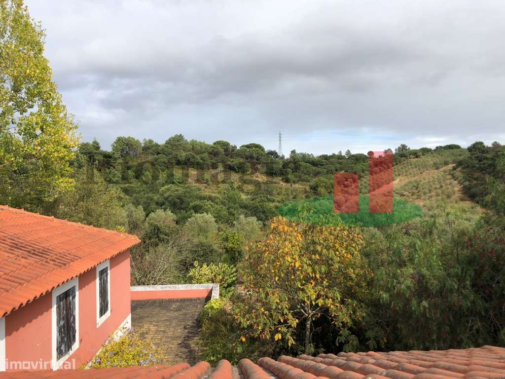 Quinta com 2 Casas de Campo, Olival e Vinha em Azambuja - Grande imagem: 2/60