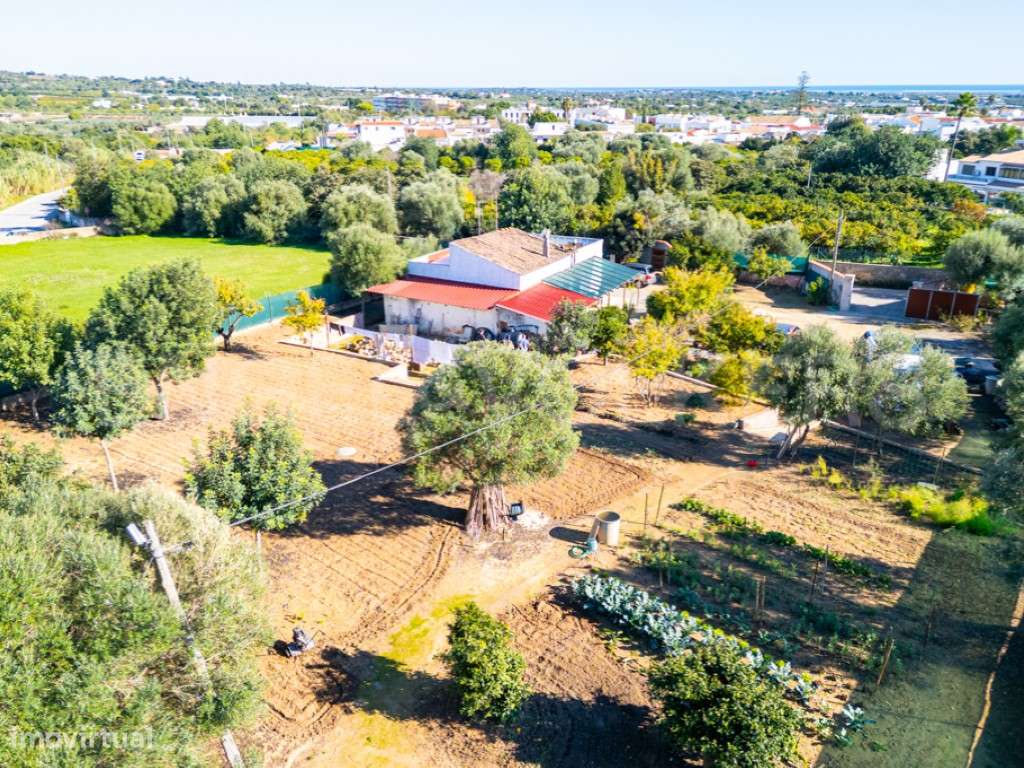 Casa Típica Privada T2 com jardim em Moncarapacho-12