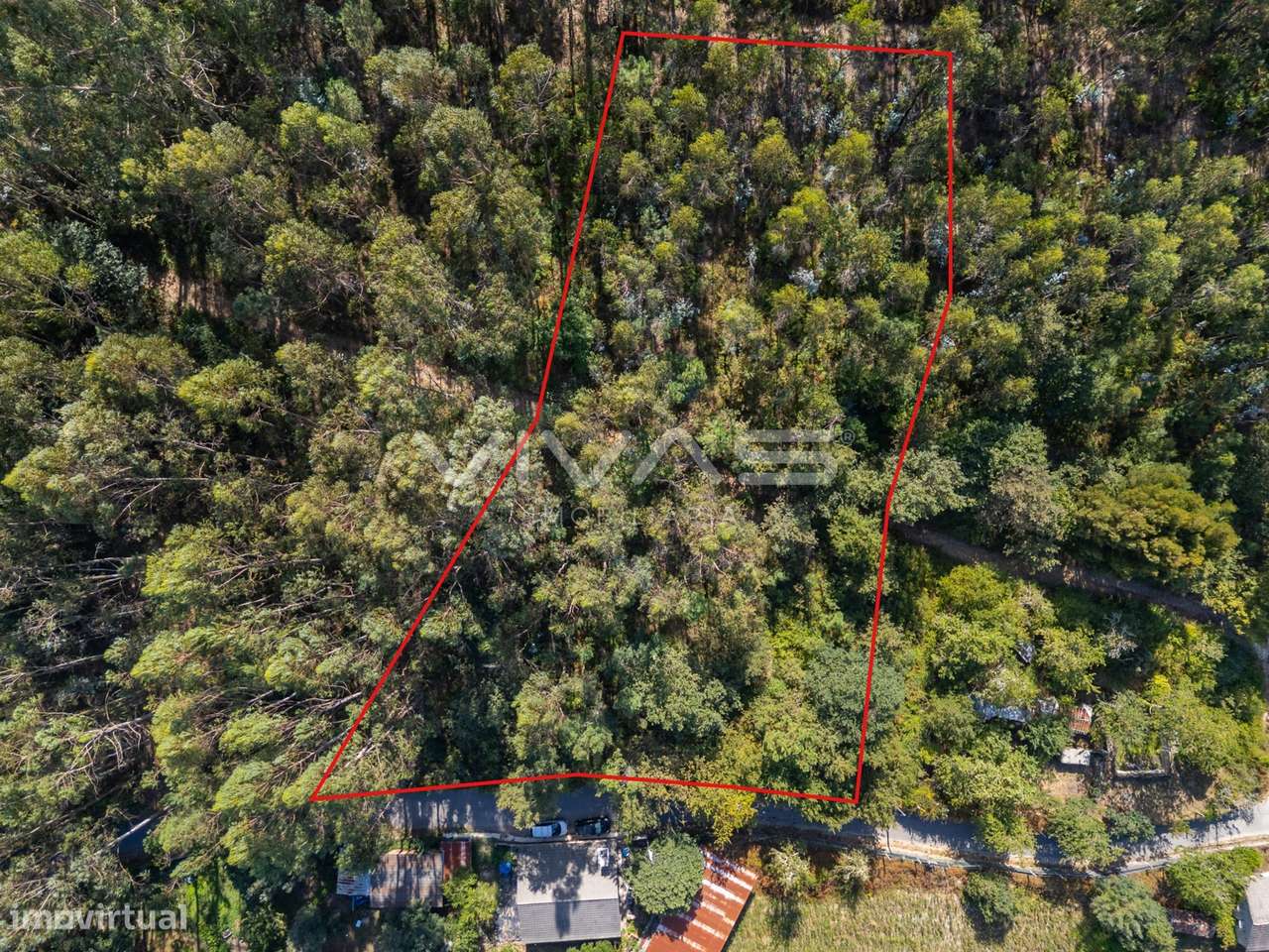 Terreno Rústico  Venda em Cabaços e Fojo Lobal,Ponte de Lima - Grande imagem: 4/12