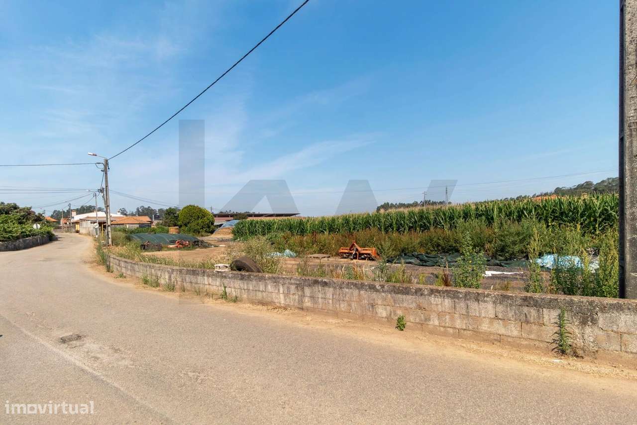 Terreno com Elevado Potencial para Investimento – Avanca, Estarreja-19