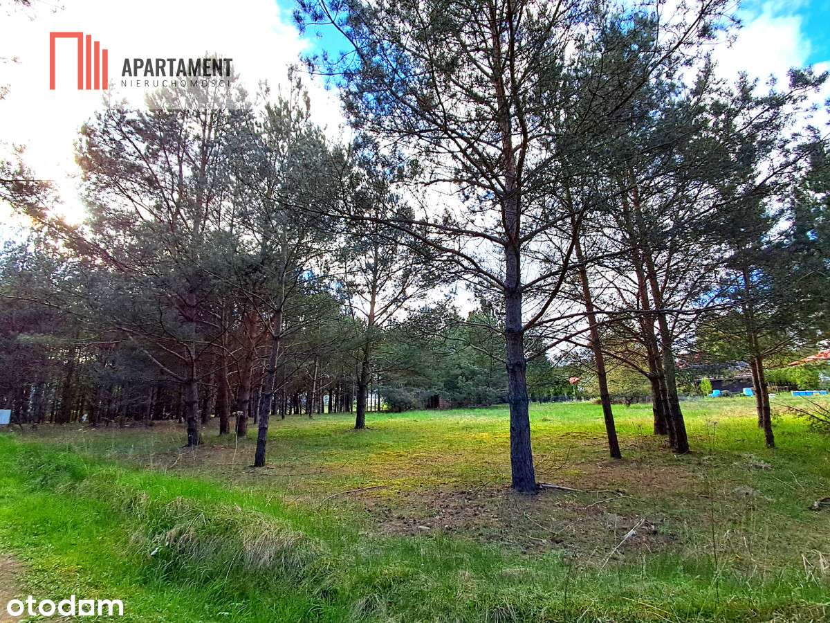 Nowa cena!Działka budowlana  800 m do jeziora!!! - Pełny obrazek: 5/8