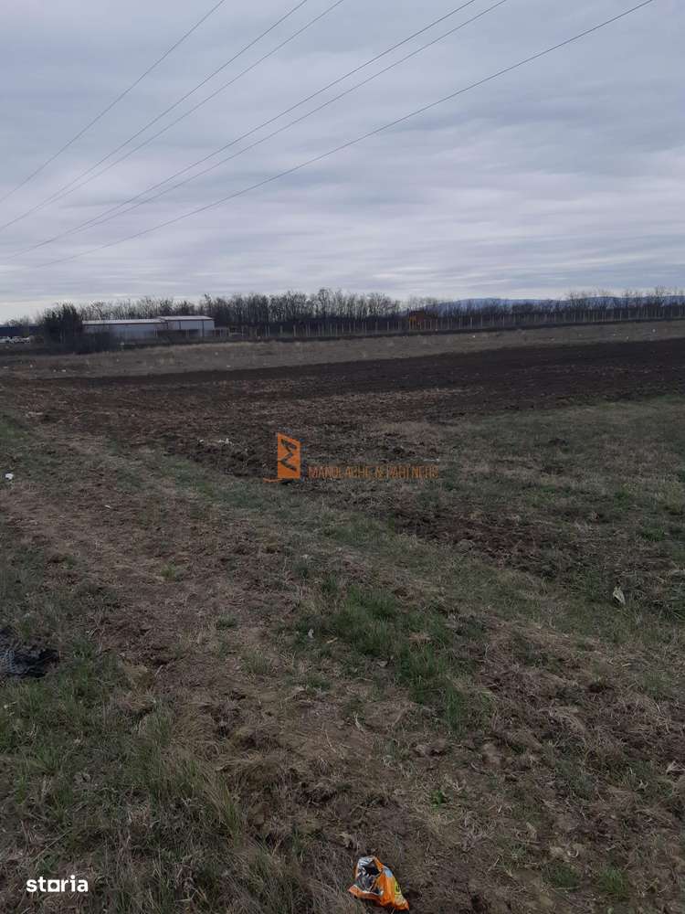 Teren intravilan 5000 mp  zona AutorolaE85 Autostrada A7 - Imagine principală: 3/5