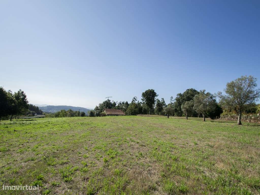 Quintinha com 30.000 m² e ruína em Anais, Ponte de Lima - Grande imagem: 4/35