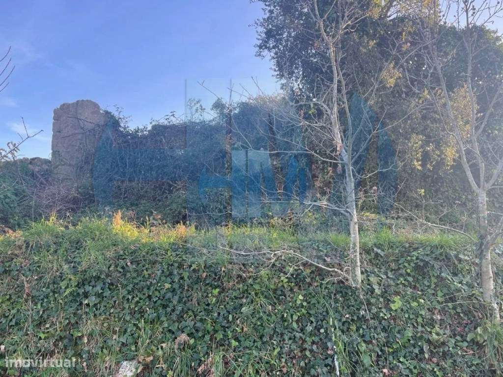 Terreno Venda Maia - Grande imagem: 4/7
