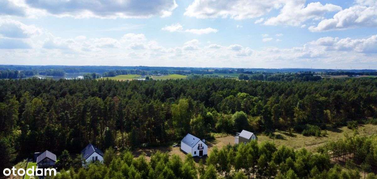 Działka obok jeziora Sejwy, Oszkinie - Pełny obrazek: 5/9