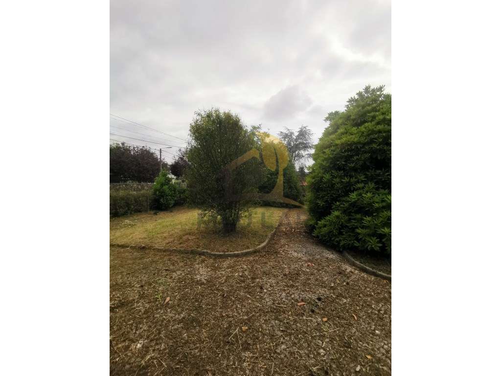 Quinta de Luxo-9