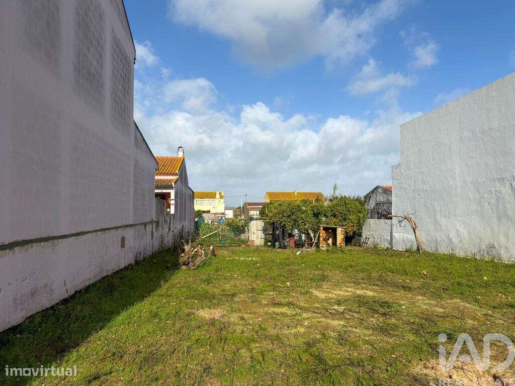 Terreno para construção em Benfica do Ribatejo - Grande imagem: 5/10