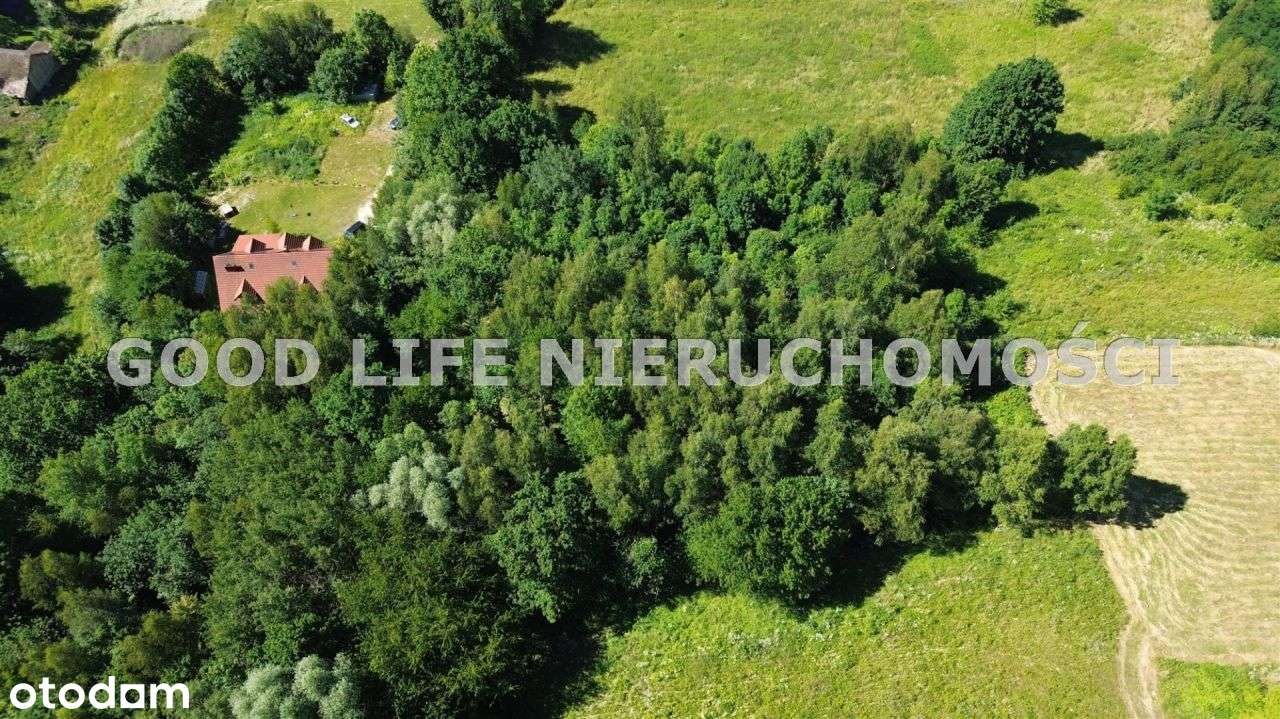 Piękna działka z Wz pod lasem w Tyczynie - Pełny obrazek: 5/6