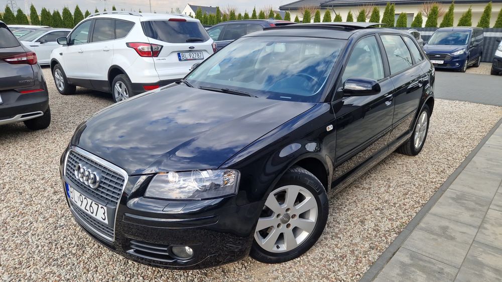 Audi A3 8P 1.6 FSI Attraction 2006