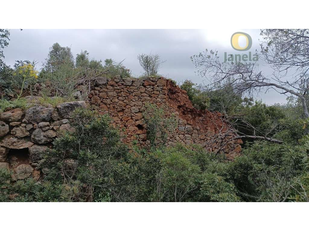 Terreno junto a Santa Bárbara de Nexe - Grande imagem: 4/11