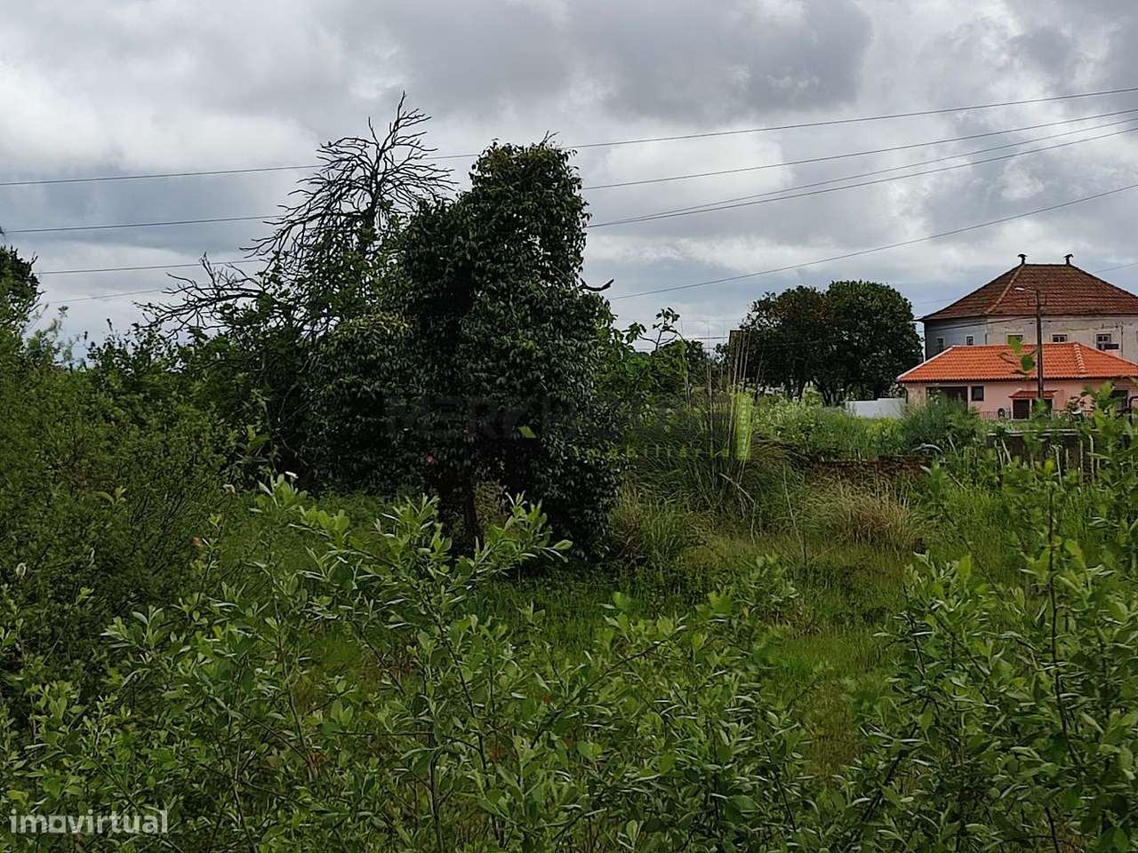 Terreno Urbano- Veiros - Grande imagem: 2/11