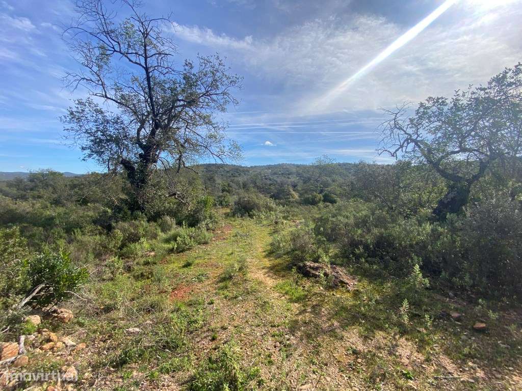 Lote de terreno rústico situado em zona muito tranquila, Boliqueime... - Grande imagem: 5/17