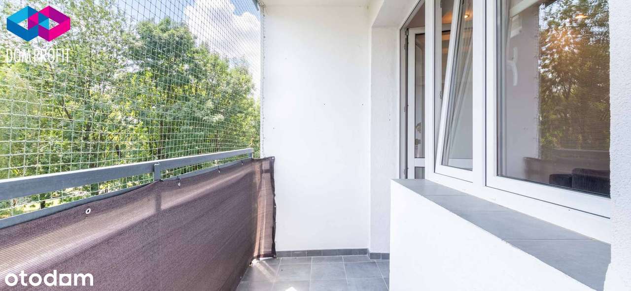 *** Tu wszystko już czeka *** - Pełny obrazek: 5/20