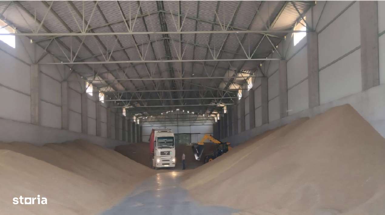 Proprietate agroindustriala, hala 1590 mp, teren 28000 mp, panouri 398 - Imagine principală: 4/19