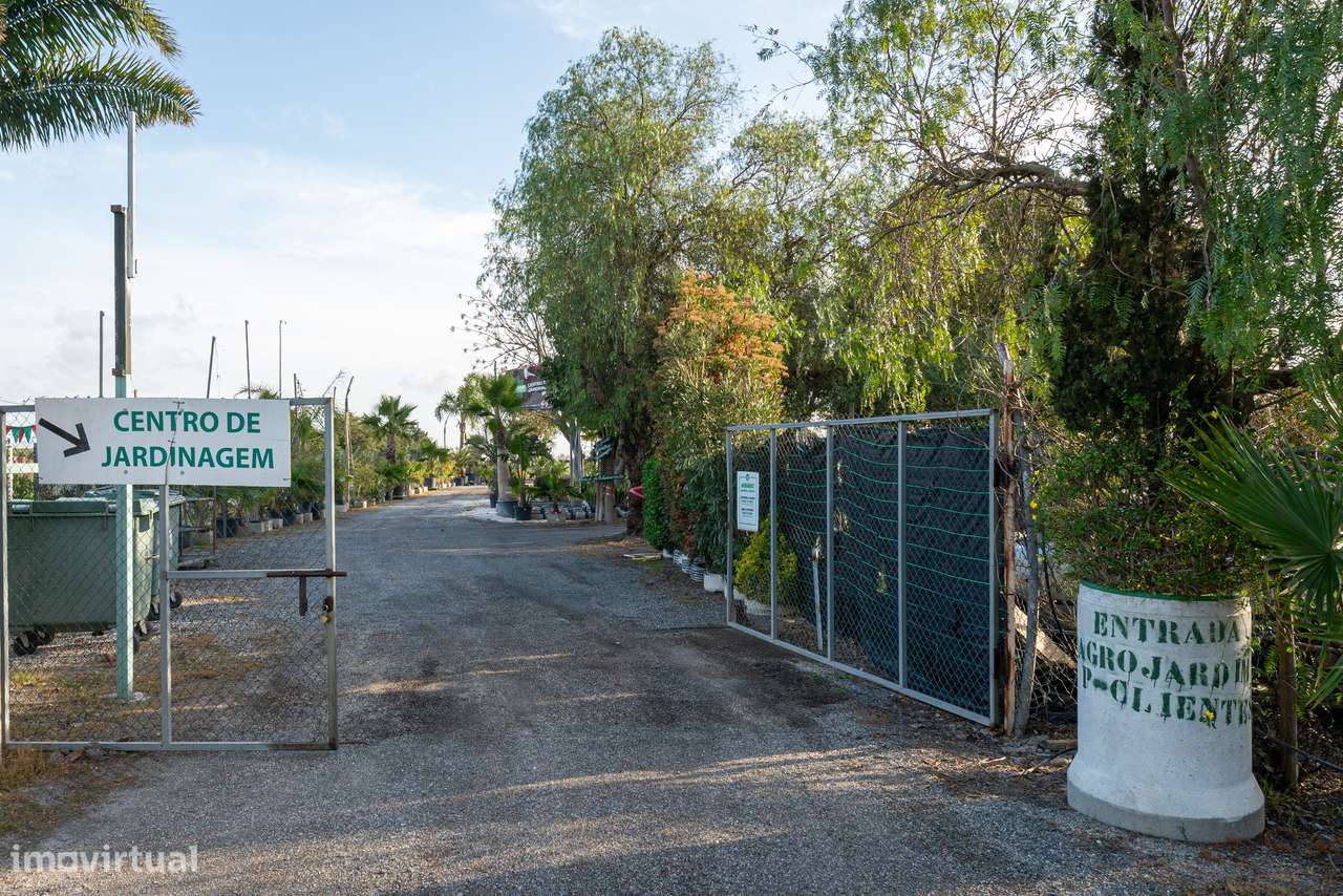 Trespasse de Centro de Jardinagem – Negócio Completo e Equipado - Beja-15