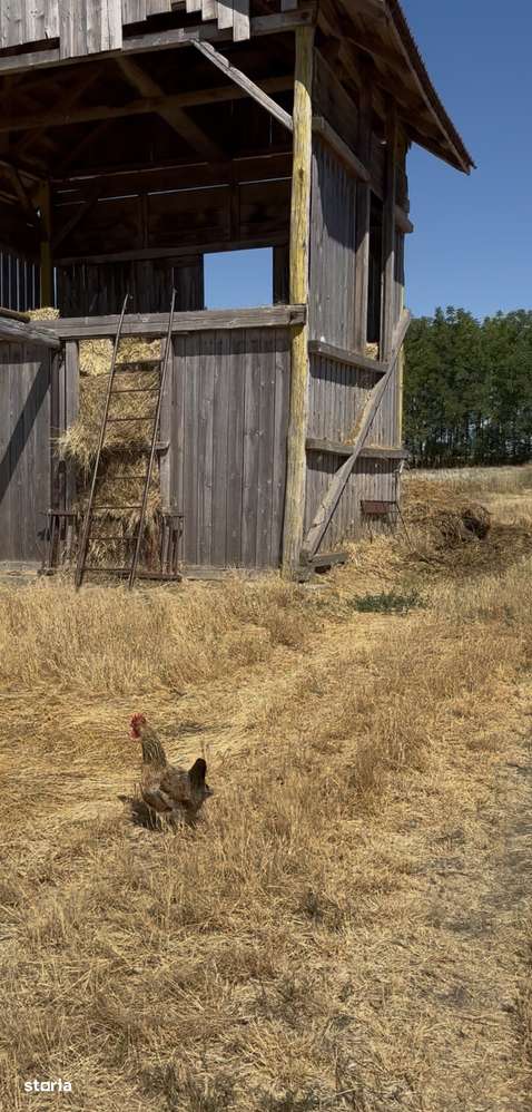 Vând Fermă. Agricolă aproximativ 8 Ha - Imagine principală: 5/5