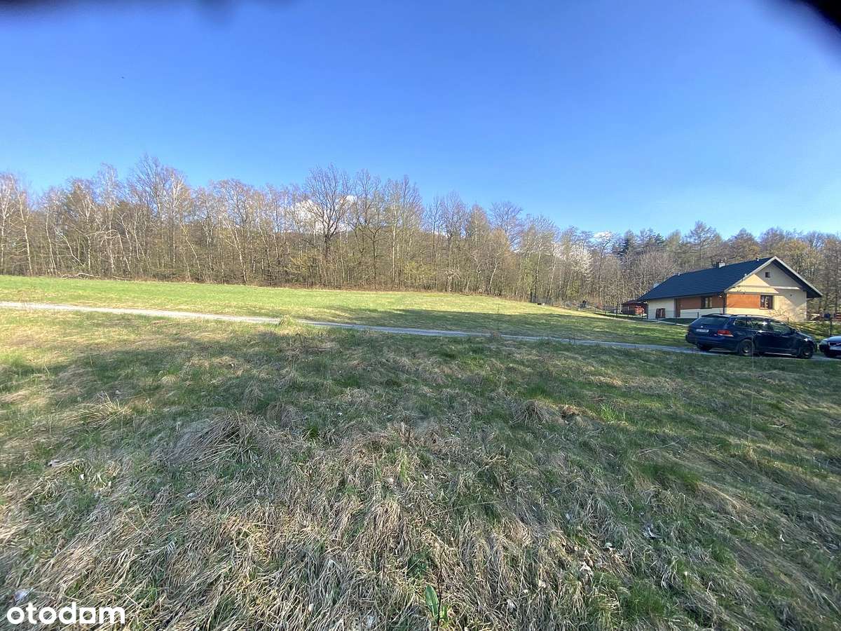 Ustroń - działka bud 20ar z lasem, przy potoczku - Pełny obrazek: 3/18