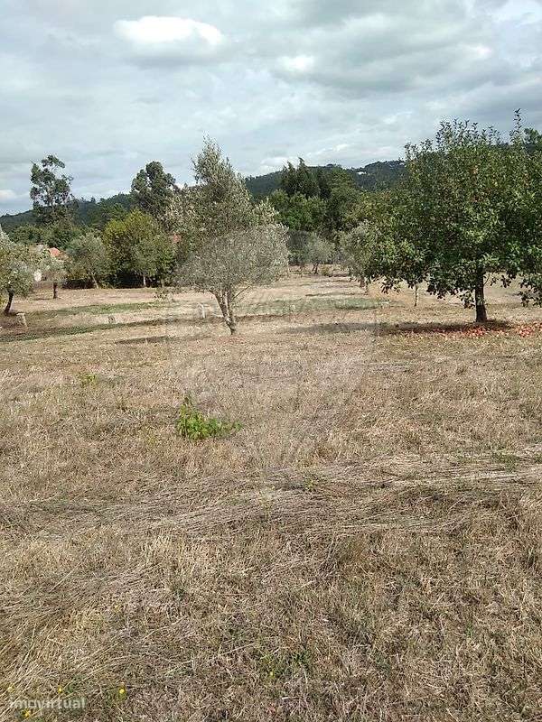 Moradia T4 para venda - Grande imagem: 4/20