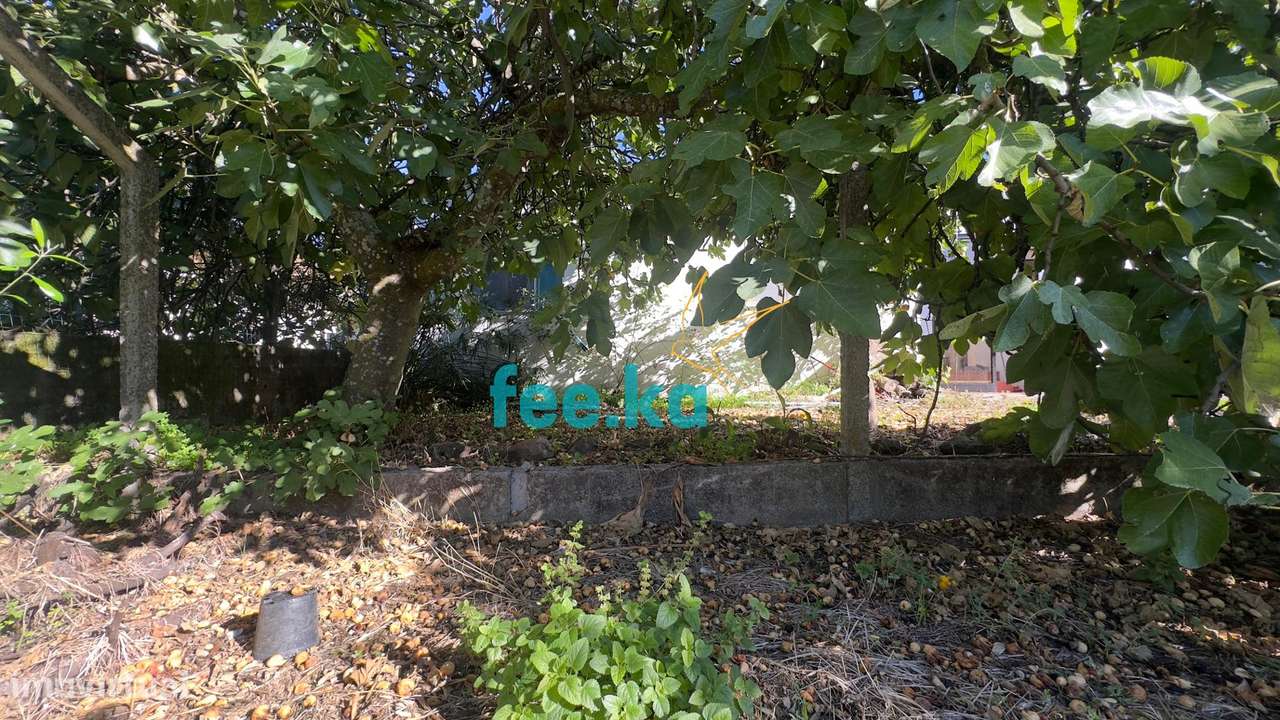 Quintinha T1 em Palvarinho-10