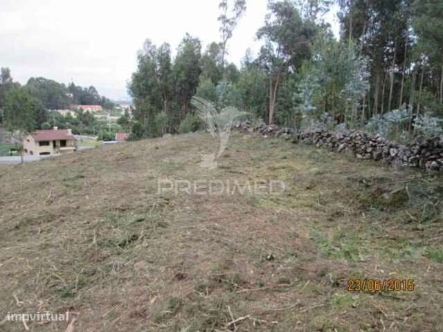 Terreno - Grande imagem: 3/7