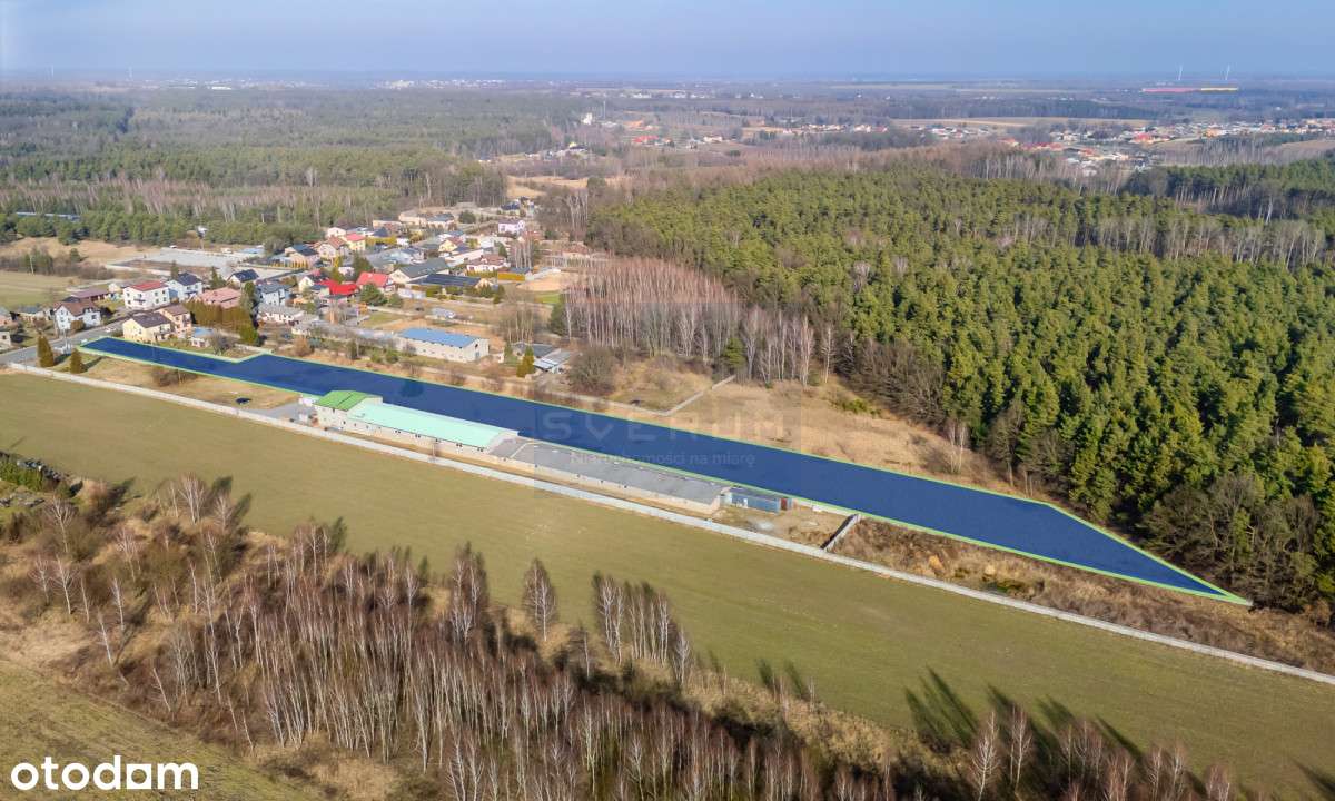 Działka usługowa/Wręczyca Wielka - Pełny obrazek: 4/5