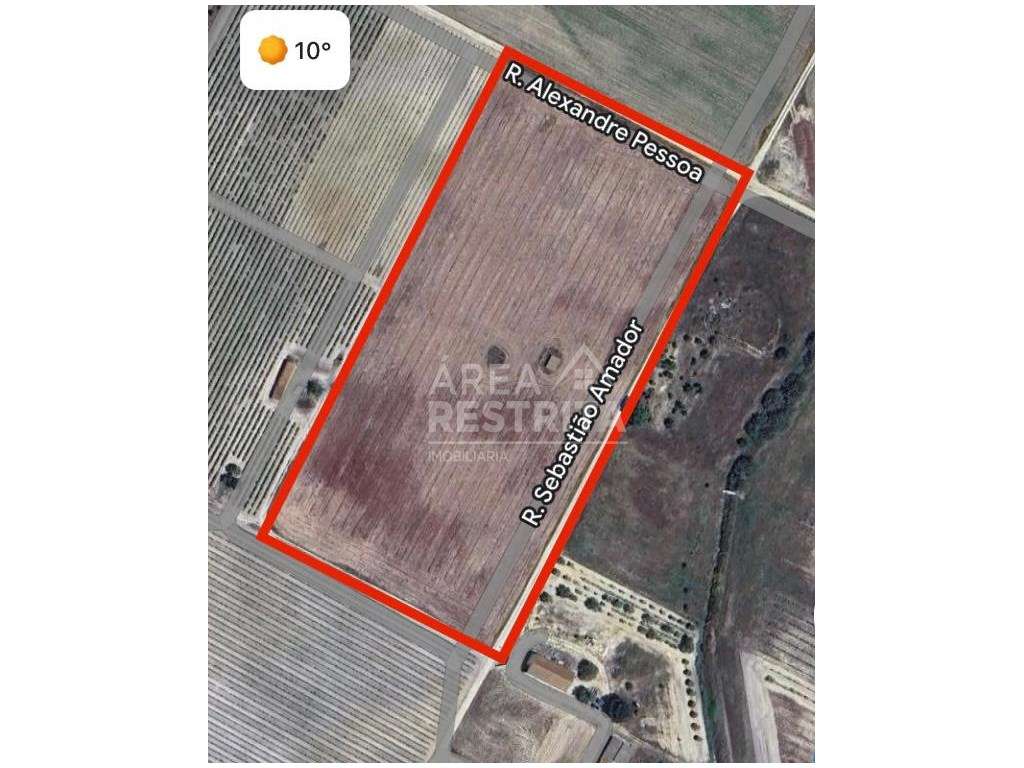 Terreno de 31250 m2 (3 ha) - Faias (Palmela) - Grande imagem: 2/24