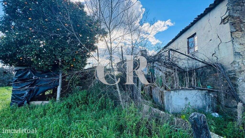 Quinta com casas de pedra para recuperar, poço e furo-31