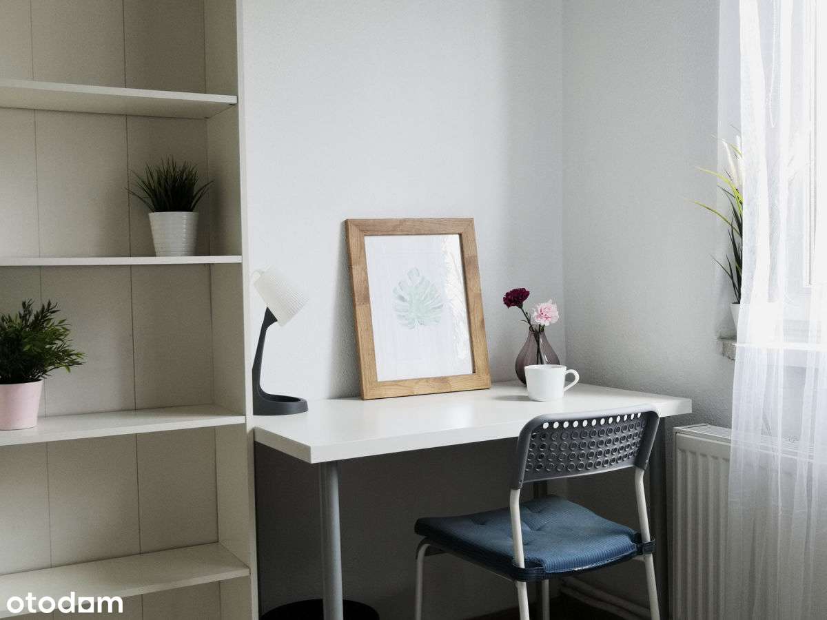 blisko Śląskiego Uniwersytetu Medycznego - Pełny obrazek: 4/13