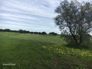 Terreno na zona do Terrim em Pinhal Novo