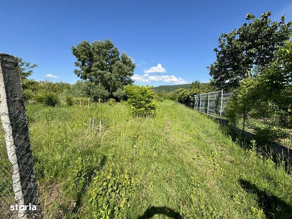 Teren Bujoreni Olteni-1