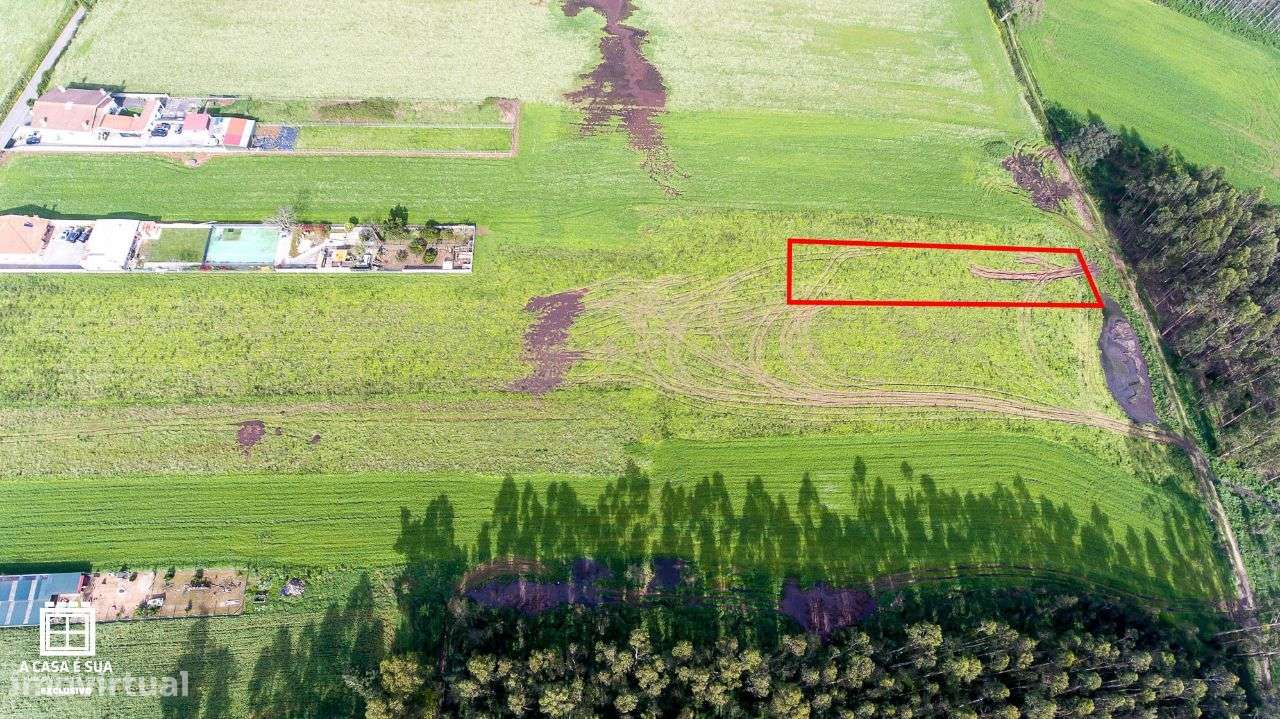 Terreno para cultivo em S. Vicente de Pereira Jusã - Exclusivo - Grande imagem: 3/12