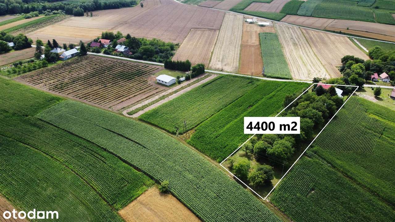 Urokliwe "Siedlisko pod Lipami" na 44-ar działce / Dom, stodoła i sad