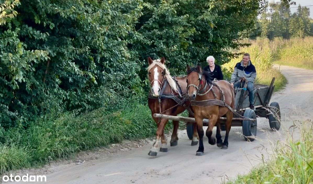 PRZEDSPRZEDAŻ DZIAŁEK nad jeziorem (media, plaża, WZ) - Pełny obrazek: 4/20