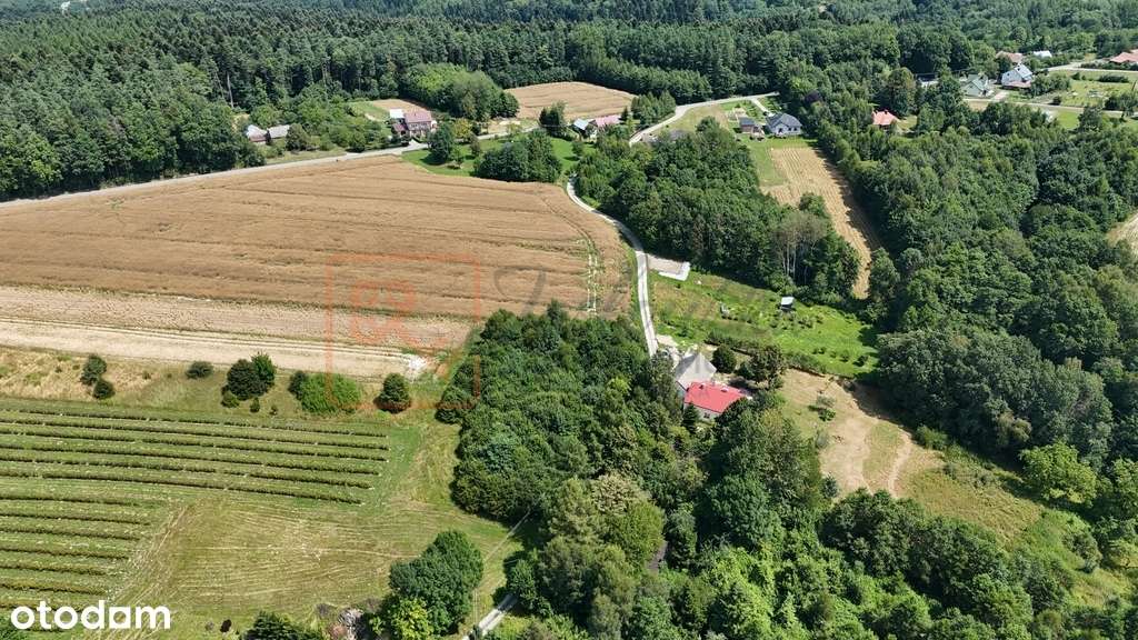 Działka budowlana Wola Rafałowska 39ar - Pełny obrazek: 4/11