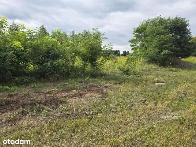 800 M 2 , 935 m2 z warunkami zabudowy - Pełny obrazek: 4/5