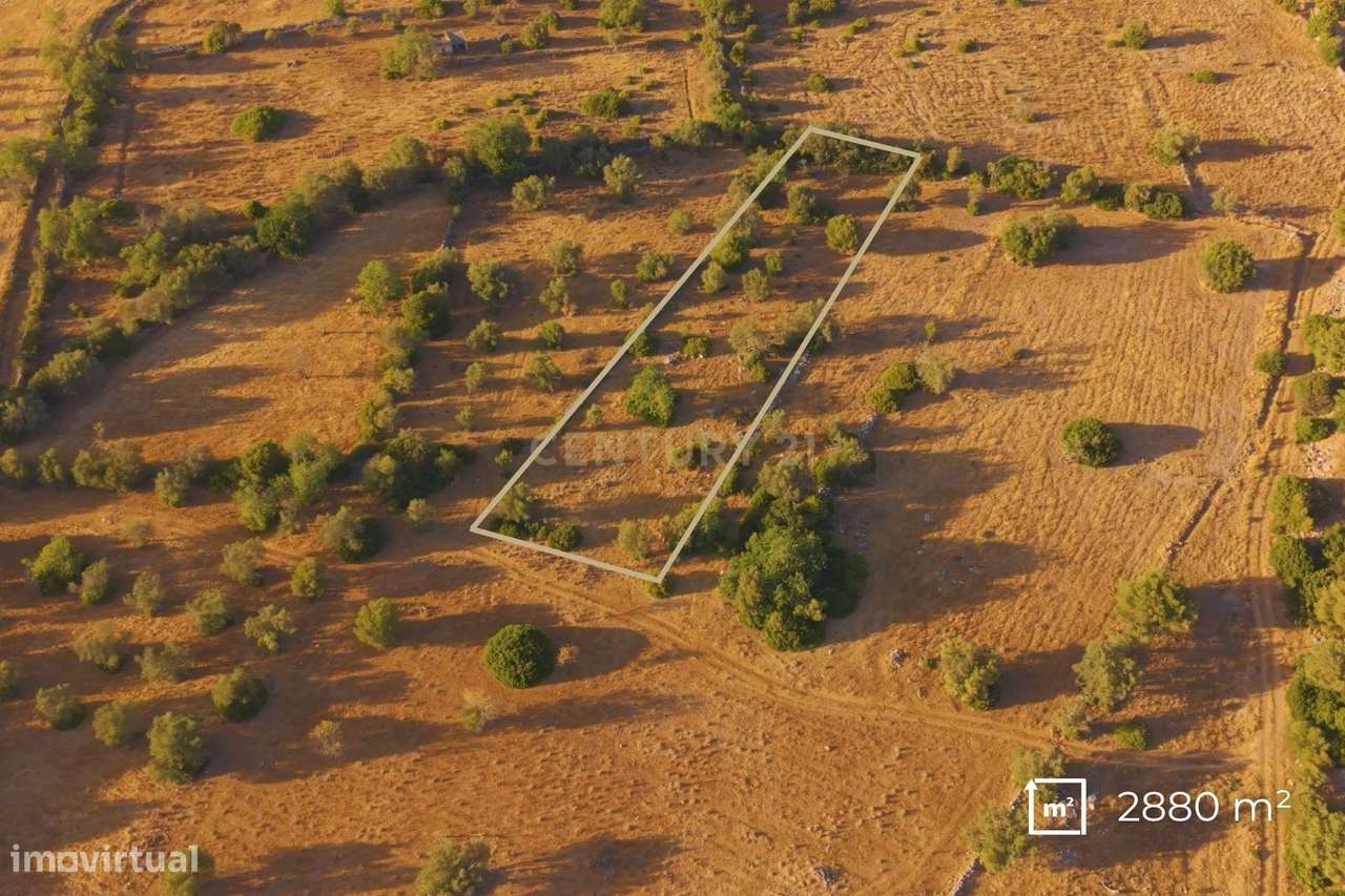 ✅ Terreno Rústico com 2.880 m² – Independência e Potencial de Expansão-6