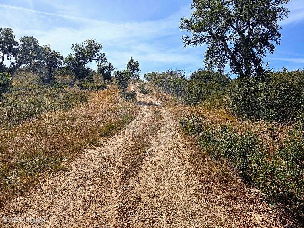 Terreno  para venda-11