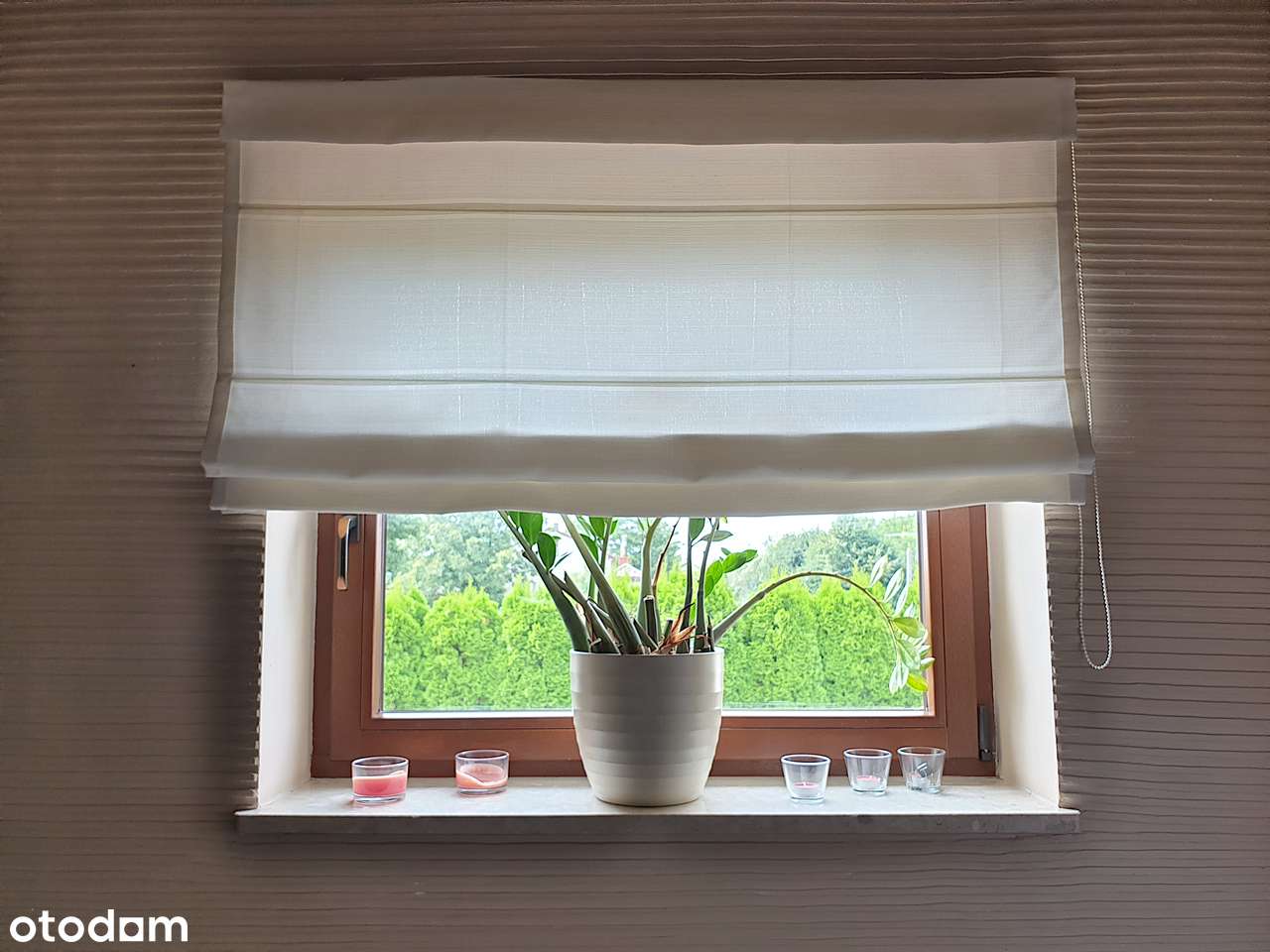 Wygodny dom z dużym terenem w Kampinosie-10