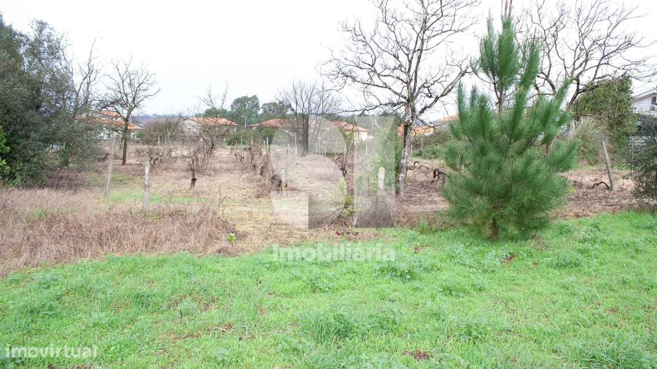 Terreno Urbanizável com 9430 m2 em Vila Verde, Oliveira do Bairro - Grande imagem: 5/9
