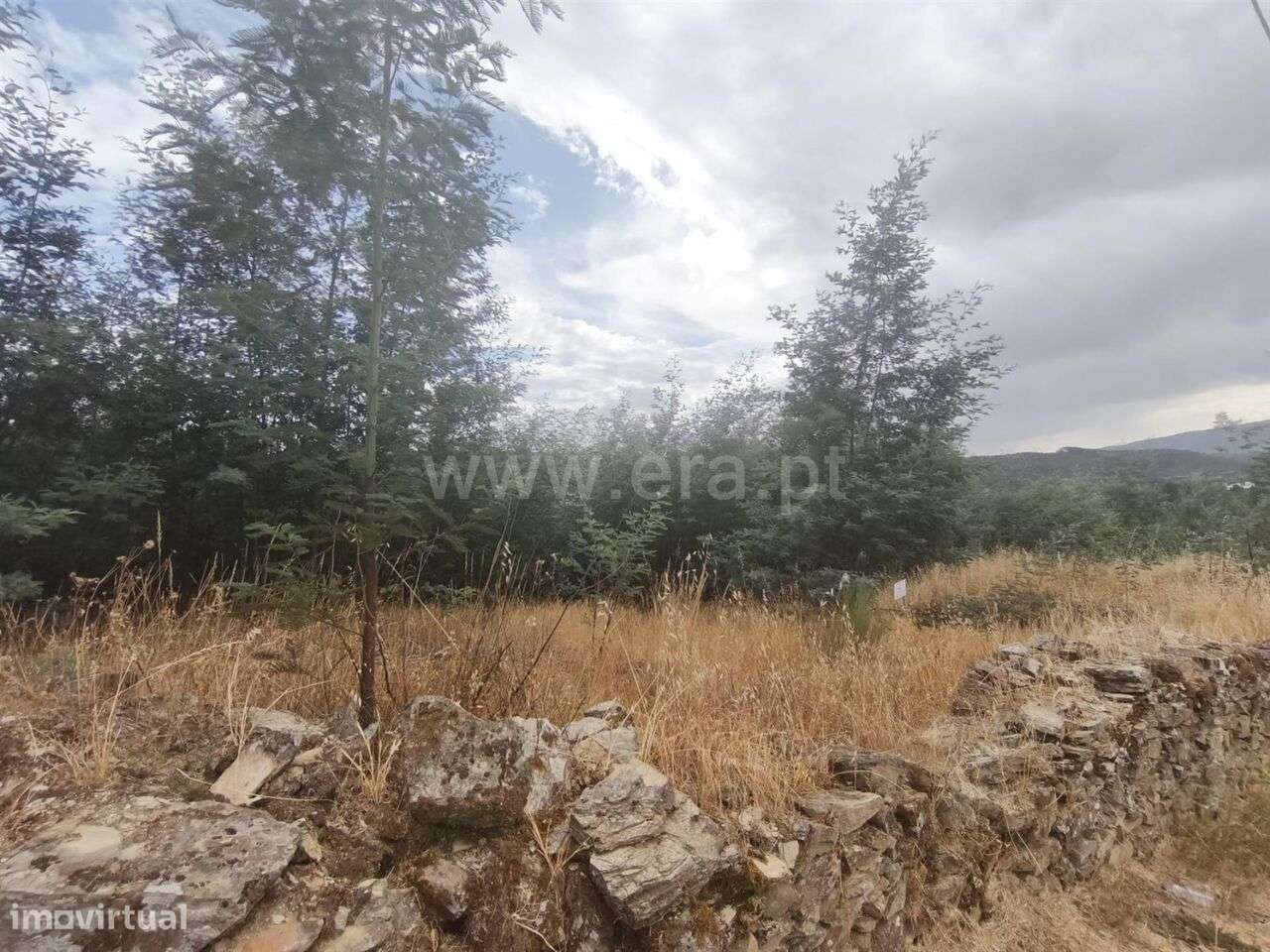 Terreno Rústico / Fundão, Silvares - Grande imagem: 3/3
