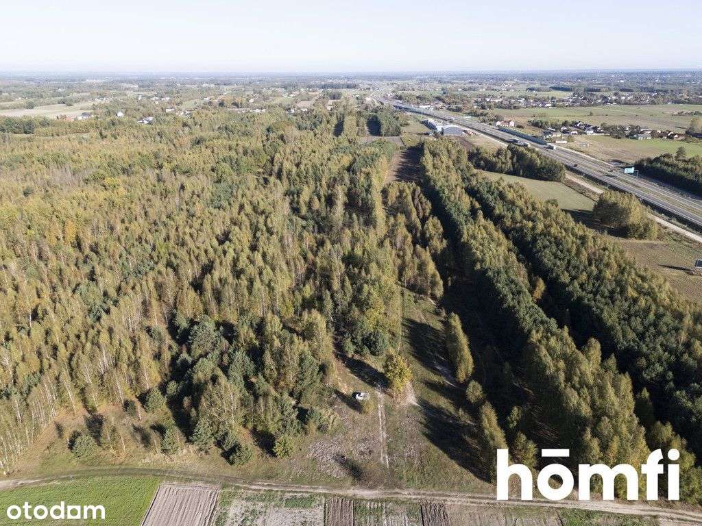 Działka na sprzedaż – Gorszej nie znajdziesz! - Pełny obrazek: 4/11