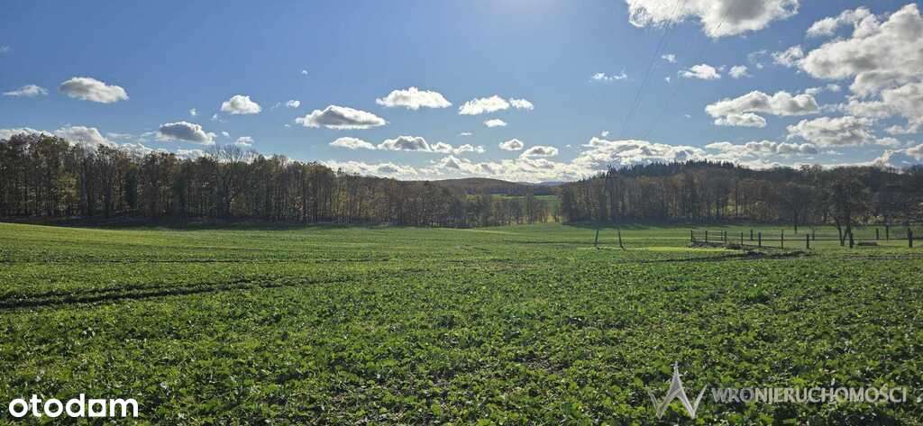 Działki budowlane | mpzp | kanalizacja - Pełny obrazek: 4/7