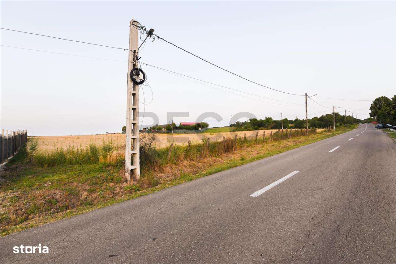 RECO Teren intravilan pentru casa  Lazareni - Imagine principală: 1/12