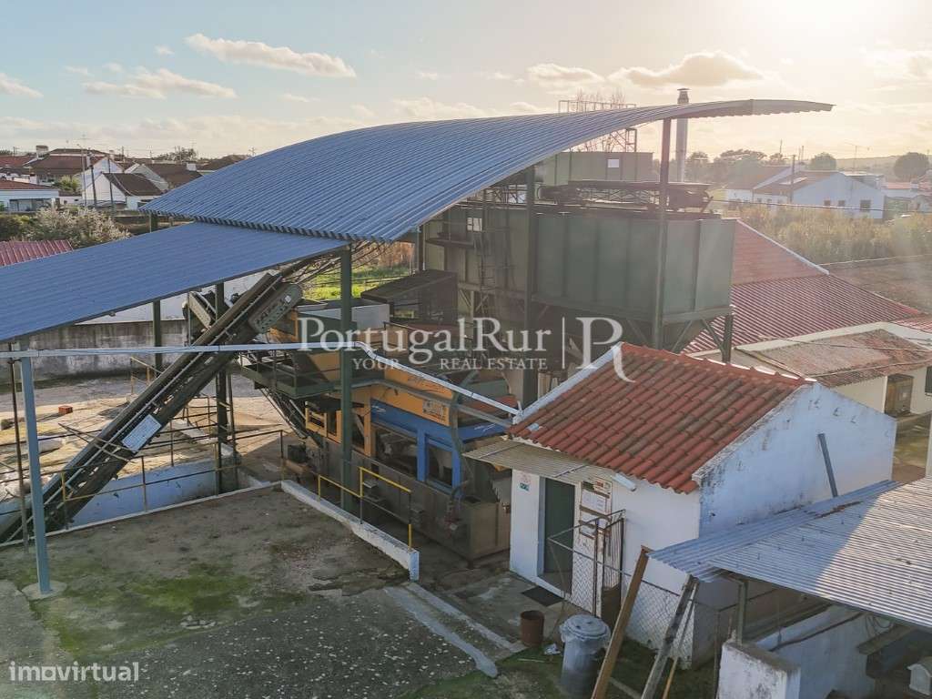 Unidade Industrial de Produção de Azeite & Elevado Potencial Produtivo-57