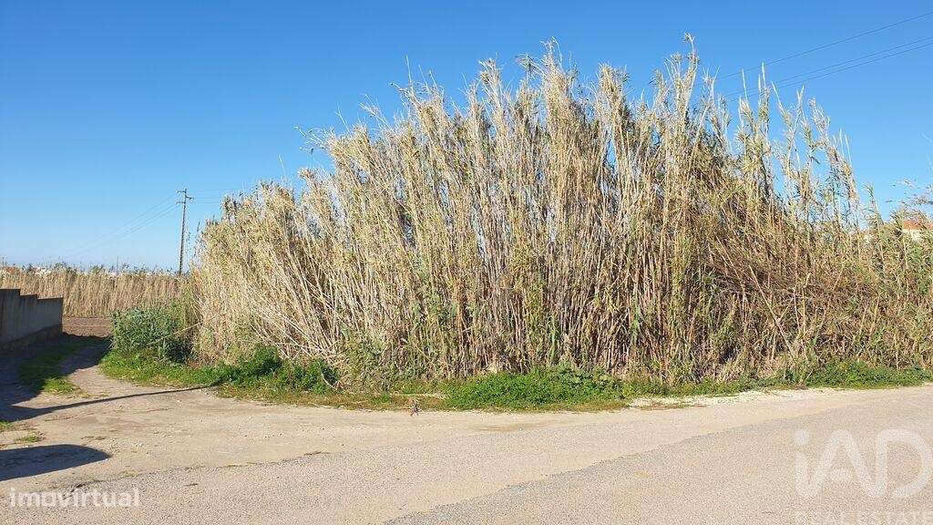 Terreno em Ferrel de 1200,00 m2 - Grande imagem: 2/8