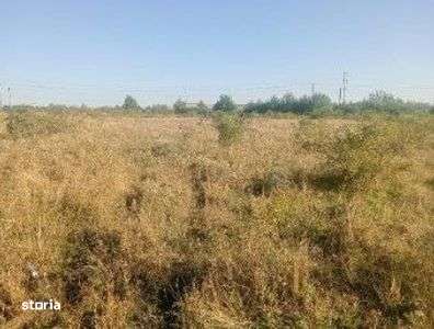 Targu Neamt, Punct Manesti, cota parte 1/2, ID: R2759104 - Imagine principală: 1/7