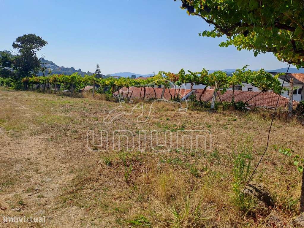 Terreno Urbanizável Gondarém - Grande imagem: 4/16