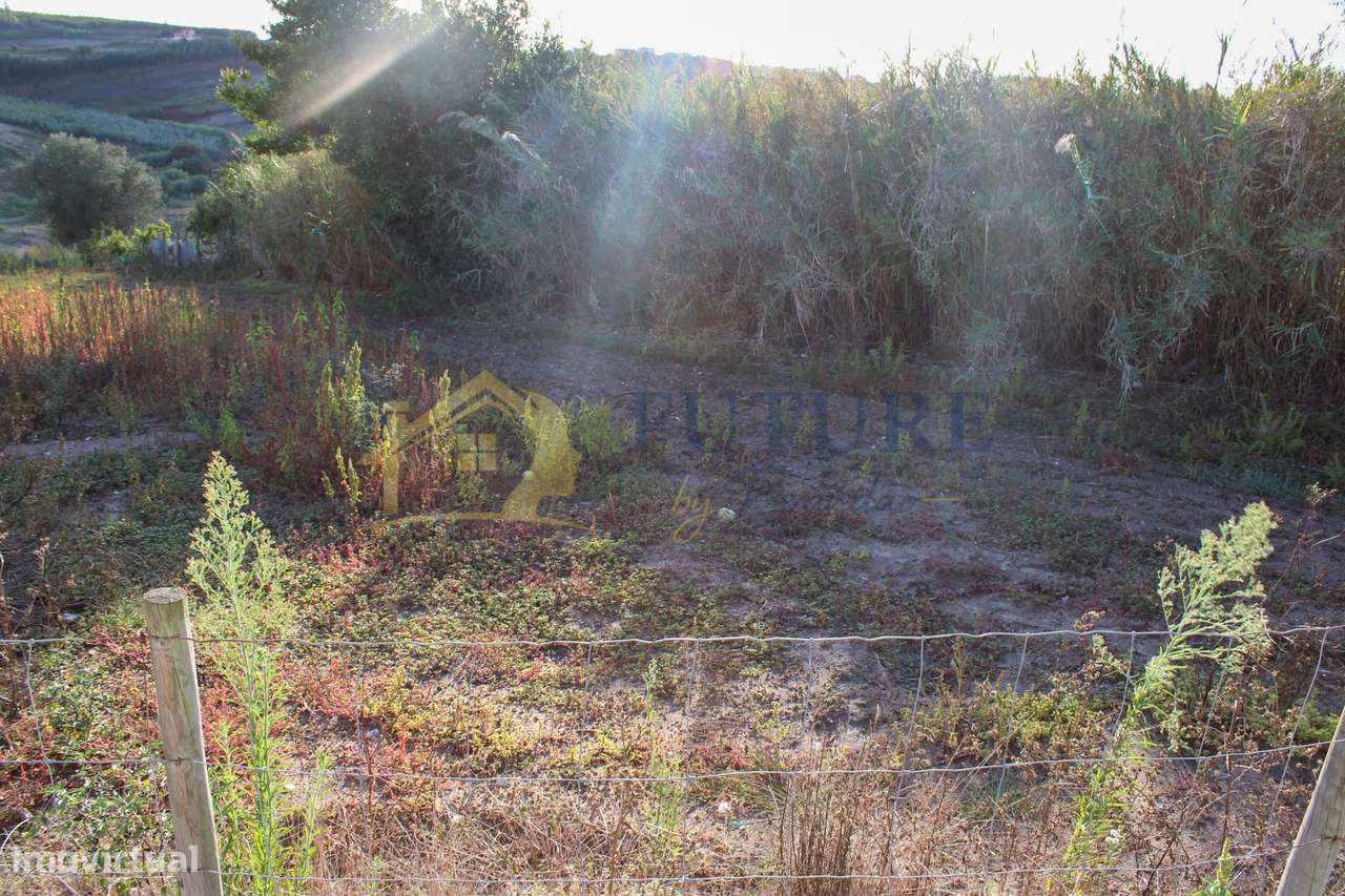 Terreno  Venda em Bombarral e Vale Covo,Bombarral-17