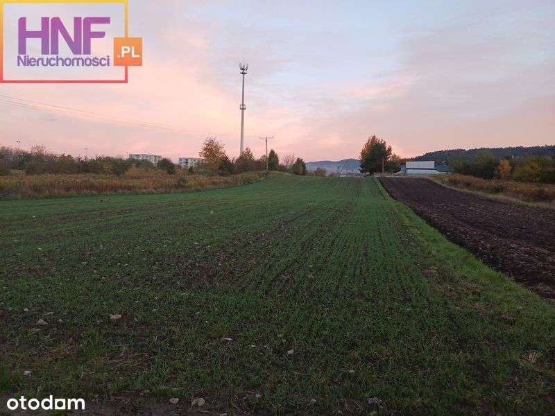 Działka, 5 000 m², Stary Sącz - Pełny obrazek: 4/12