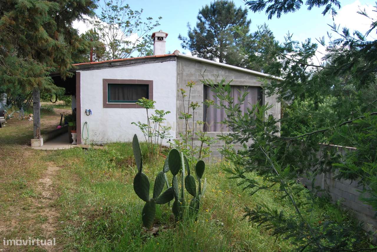 Terreno rústico 28200m2 em Vale do Junco, Chamusca, Golegã-12